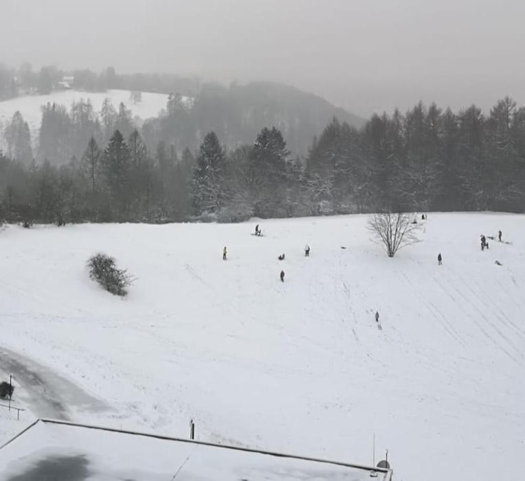 Harz-Fewo Ky487 Braunlage Exterior photo